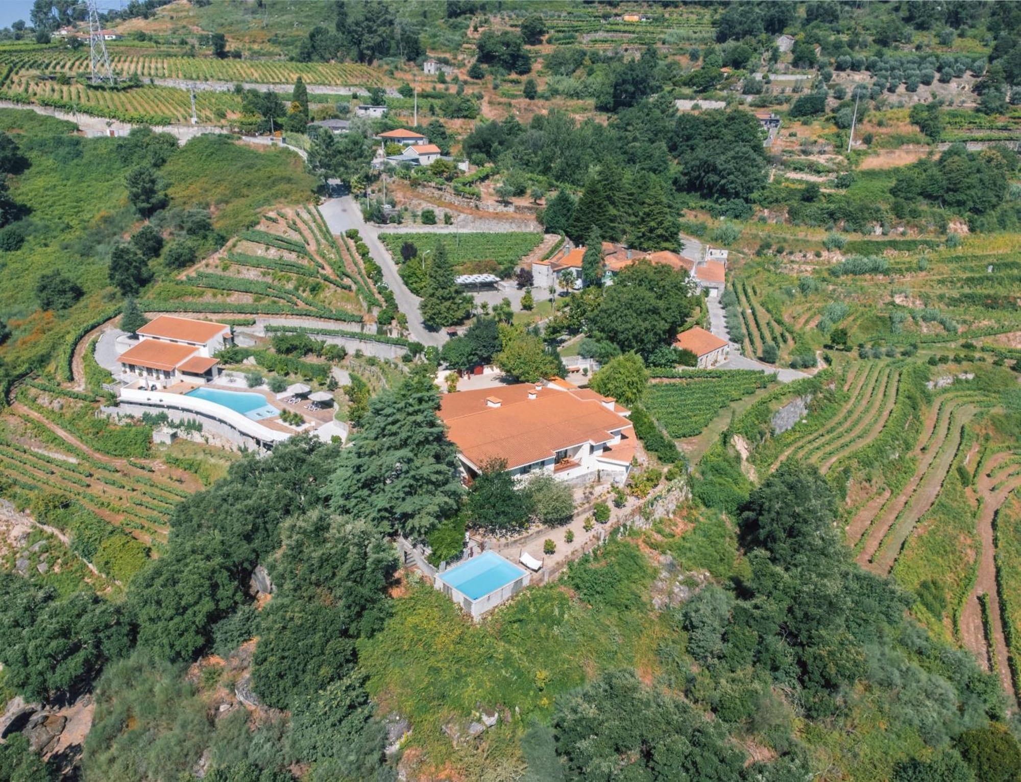 Private Douro- Quinta Das Susandas Мезан-Фріу Екстер'єр фото